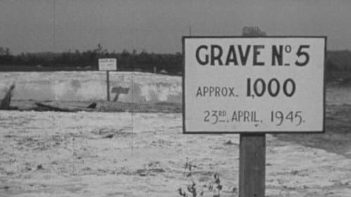 What They Found Bild 1