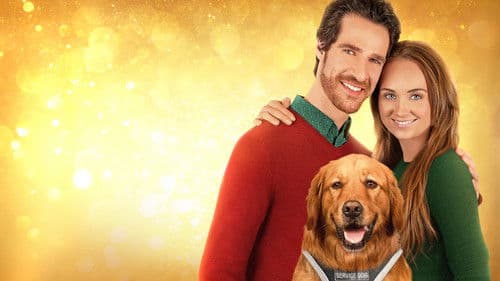 Max - Meine Weihnachtshilfe auf vier Pfoten Bild 2