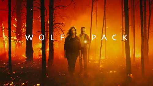 Wolf Pack Bild 3
