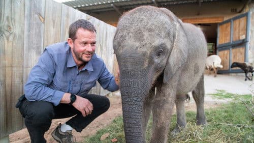 Baby Animal Rescue Bild 1