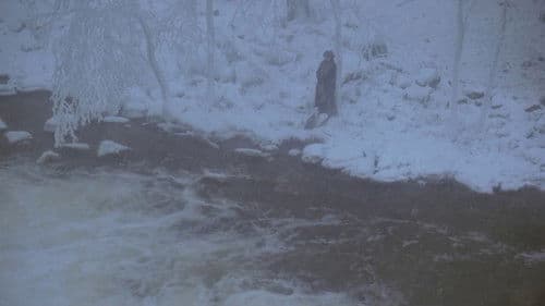 Maria Chapdelaine Bild 5