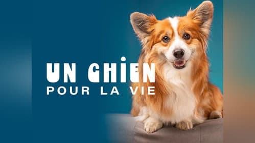 A Dog For Life Bild 1