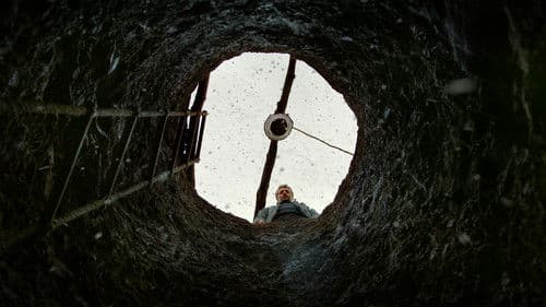 Der wilde Birnbaum Bild 7