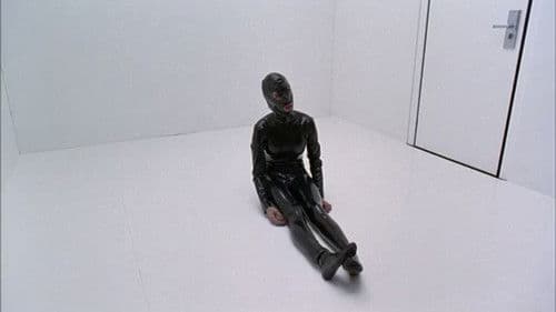 Bibliothèque Pascal Bild 2