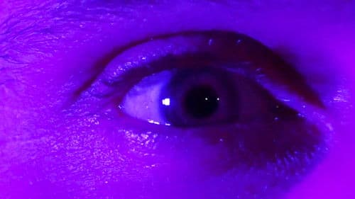 Salem's Flames Bild 1