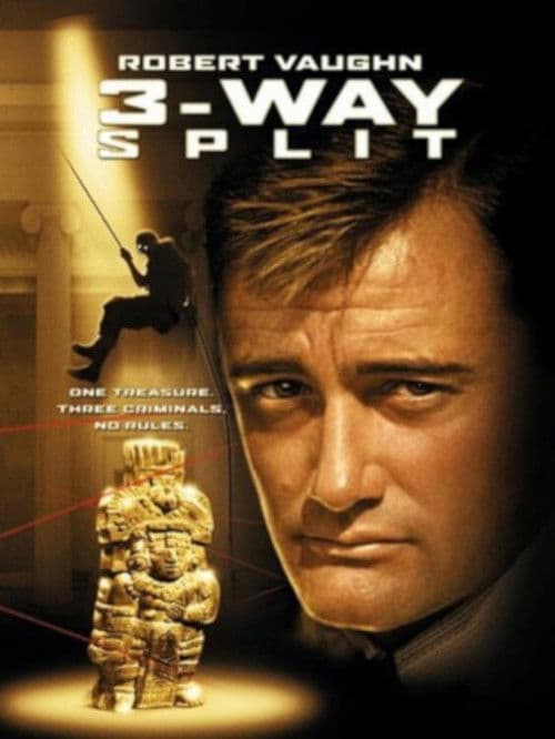 Der Millionen Dollar Coup