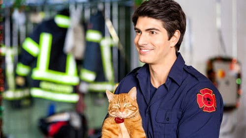 Eine samtige Bescherung Bild 4