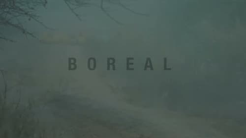 Boreal Bild 3