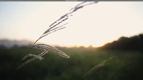 Archipiélago Bild 7