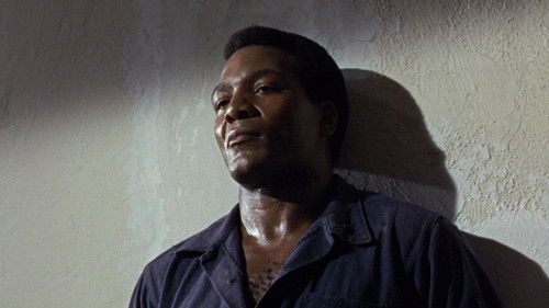 Ausbruch der Verdammten Bild 2