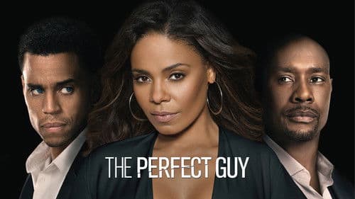 The Perfect Guy Bild 3