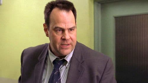 Spinnen des Todes Bild 2