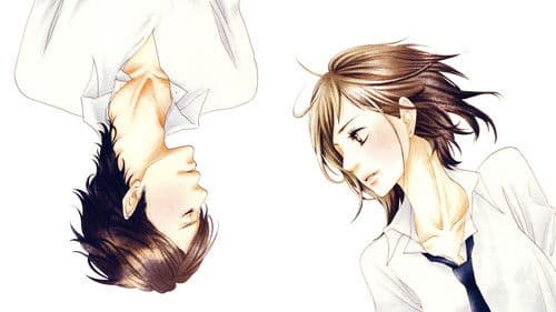 Say, “I Love You” Bild 8