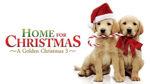 Noch eine tierische Bescherung Bild 2