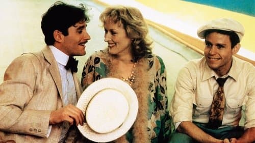 Sophies Entscheidung Bild 1