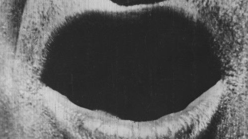 The Big Swallow Bild 1