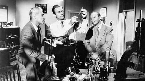 Creature with the Atom Brain Bild 1