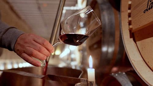 Das Land der tausend Weine Bild 1