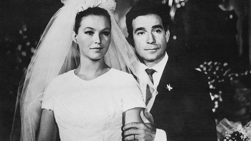 Die Bienenkönigin Bild 3