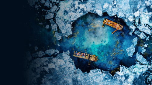 Goldtaucher der Beringsee Bild 4