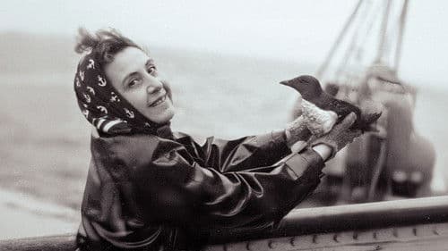 Anita Conti, l'appel du large Bild 1