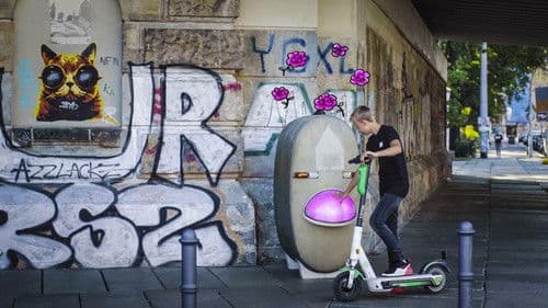 Meine Wunderkammern Bild 3