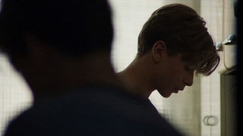 Le variabili dipendenti Bild 4