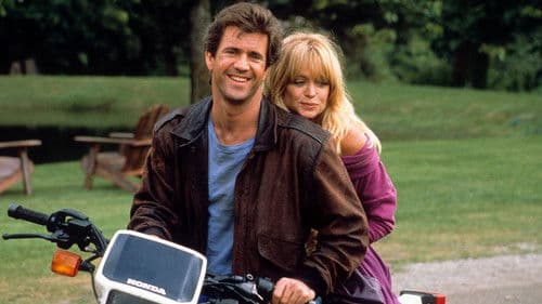 Ein Vogel auf dem Drahtseil Bild 4