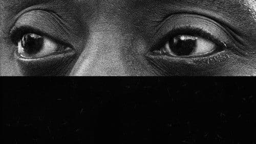 I Am Not Your Negro Bild 5