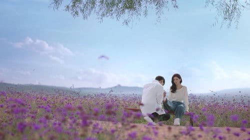 你的谎言也动听 Bild 3