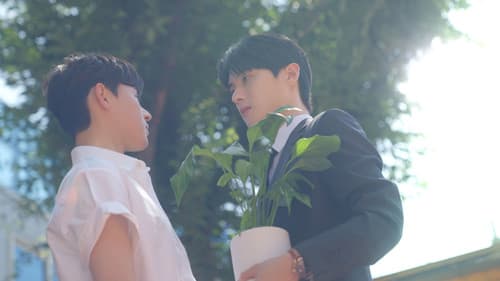 Kiss Kiss Sxx Bild 6