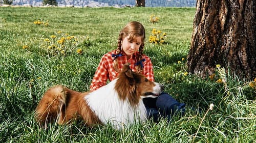 Ich höre dich, Lassie Bild 3