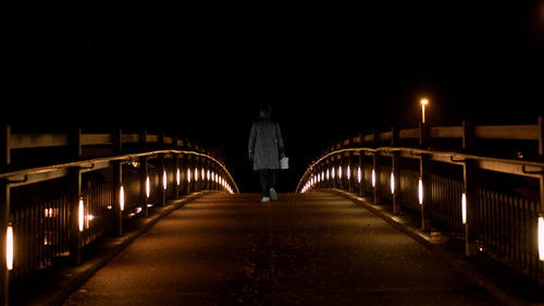 The Wide Open Project Bild 1