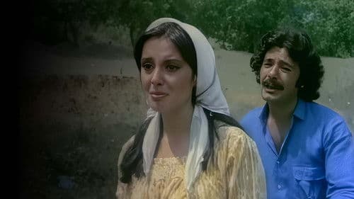 Yuvasız Kuşlar Bild 3