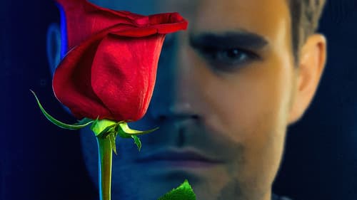 Tell Me a Story Bild 6