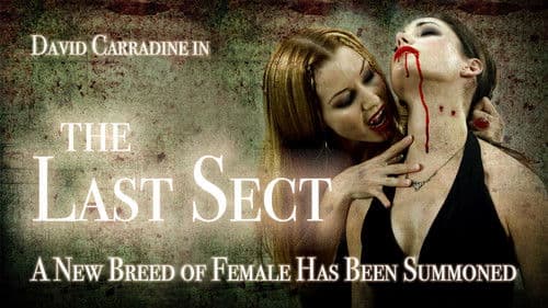 The Last Sect Bild 1