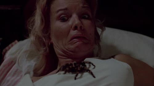 Der Kuss der Tarantel Bild 2