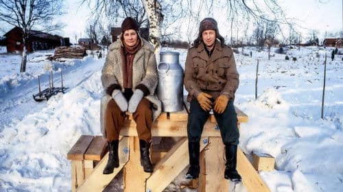 Midvinterduell Bild 2