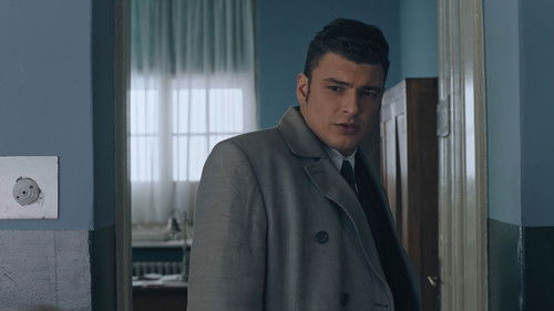 Schwarze Sonne Bild 5