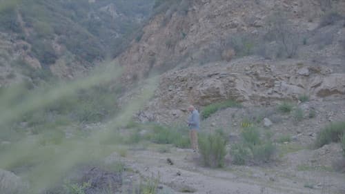 On My Way Home Bild 1