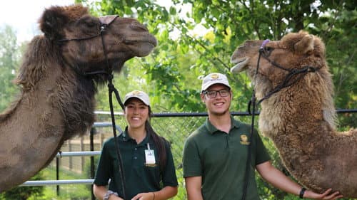 Un safari près de chez nous Bild 3