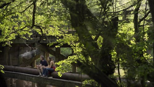 Eine wie Alaska Bild 3