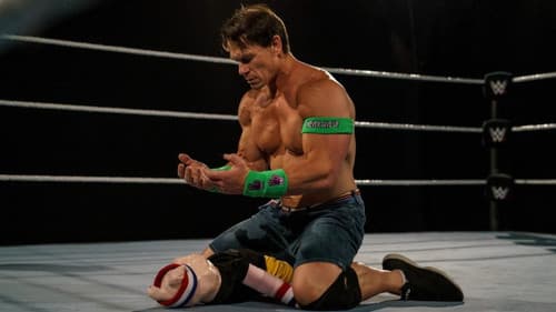 The Firefly Funhouse Match Bild 1