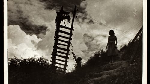 O Gigante de Pedra Bild 1