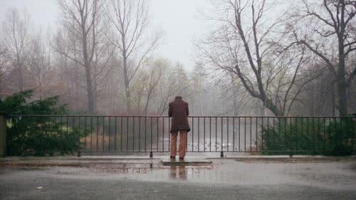 در غربت Bild 1