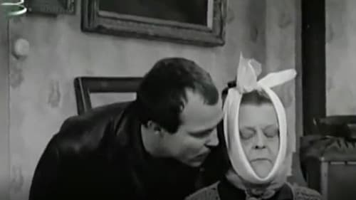 Fekete macska Bild 1