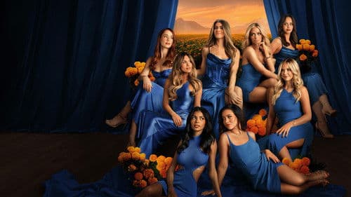 The Secret Lives of Mormon Wives Bild 4