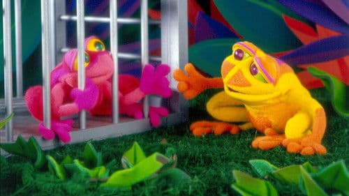 The Song of the Cloud Forest Bild 1