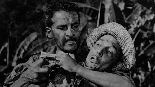 Mãos Sangrentas Bild 5