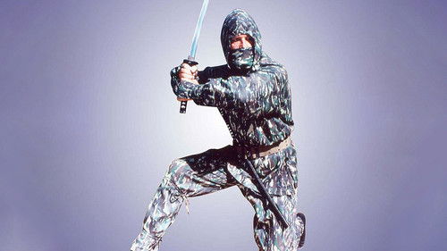 Ninja Terminator Bild 3